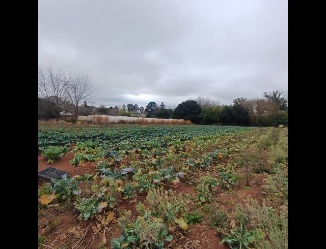 4,064M² VACANT LAND FOR SALE IN HENLEY ON KLIP